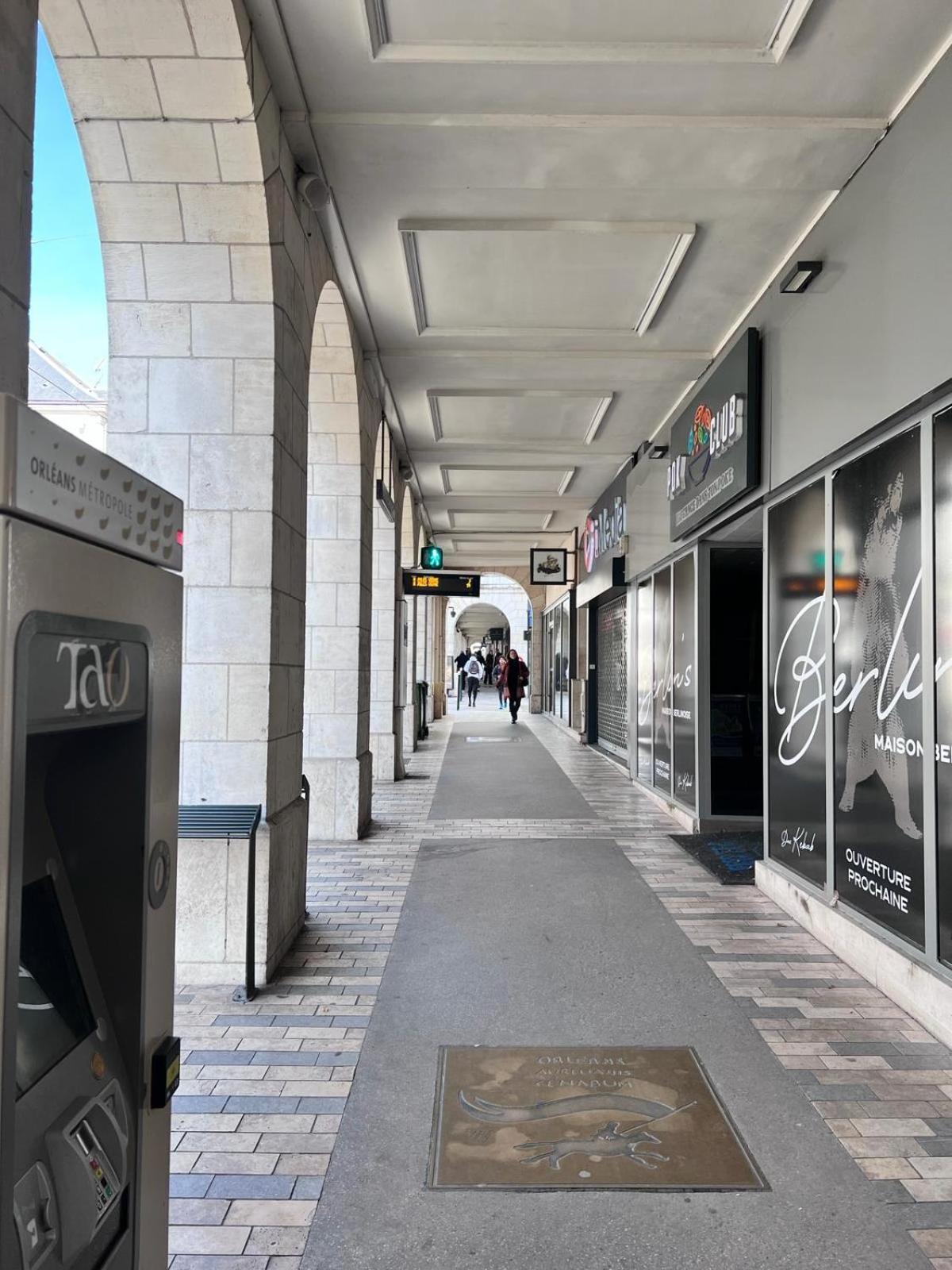 Appartement Au Duleing House Orléans Kültér fotó